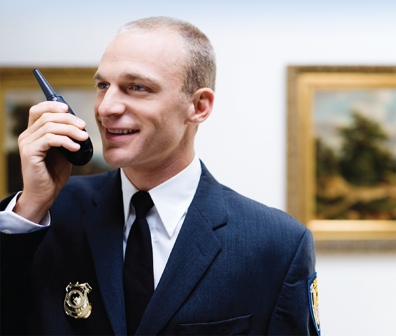 Most museums and galleries hire security guards to protect the works of art - photo 3