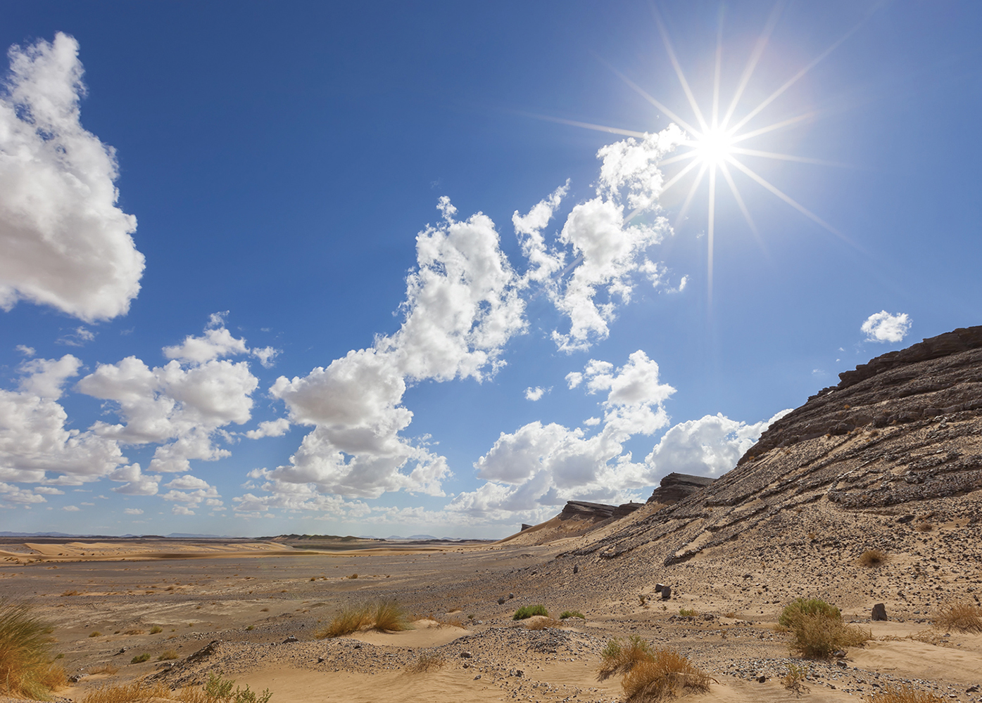 THERMAL ENERGY SYSTEMS One way to collect and use solar energy is to change - photo 6