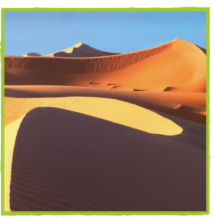 Evidence The Sahara is a desert in Africa It is the largest hot desert on - photo 9