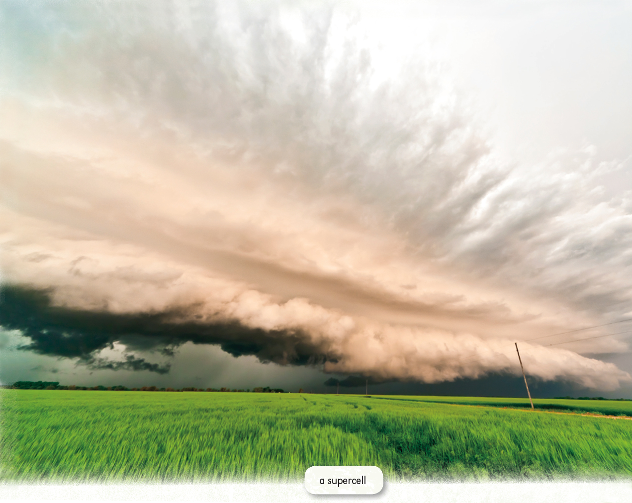 Funnel Clouds If a spinning mesocyclone starts reaching toward the ground it - photo 8