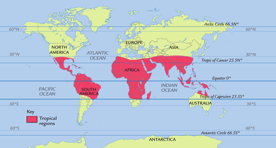 This map shows the tropical zones that lie around the Equator AMAZING FACT - photo 3