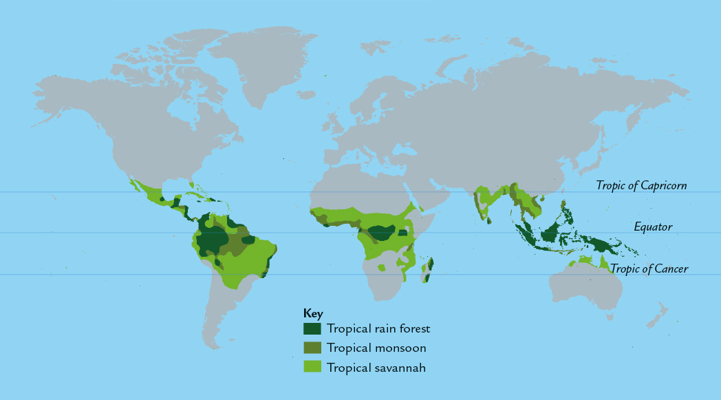 This map shows where the three kinds of tropical climates occur tropical rain - photo 6