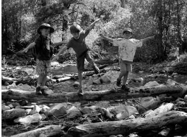 Hiking pals play creek-crossing games on logs and rocks For this editions - photo 20