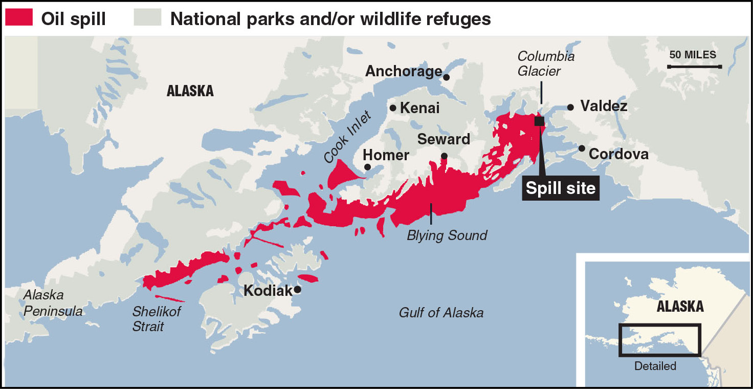 The spilled oil damaged more than 1000 miles 1600 km of shoreline Around 3 - photo 6