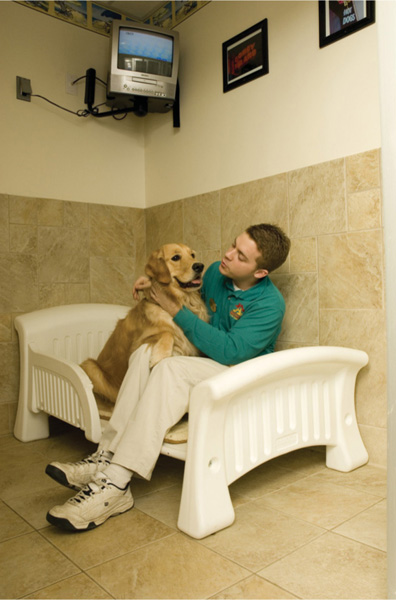 At the PetSmart grooming salon in Woodhaven Michigan Emily Meadows bathes a - photo 4