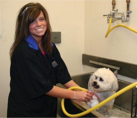 At the PetSmart grooming salon in Woodhaven Michigan Emily Meadows bathes a - photo 5