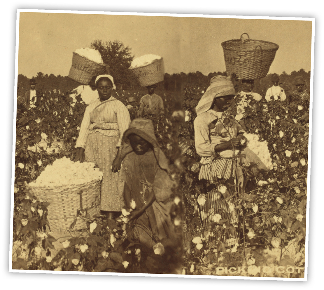 Many slaves worked in cotton fields from dawn until dusk They received no pay - photo 4