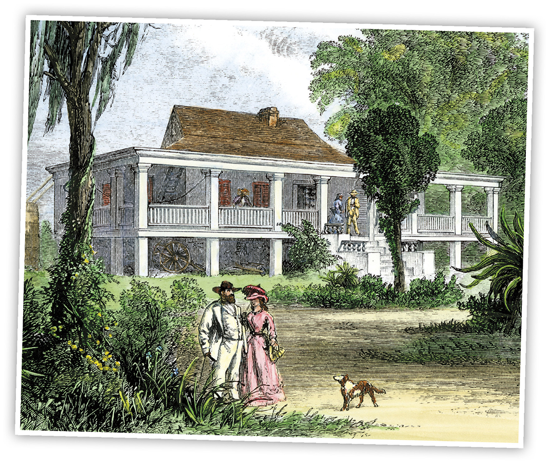 Plantation owners had grand homes and large estates Slaves worked in the - photo 8