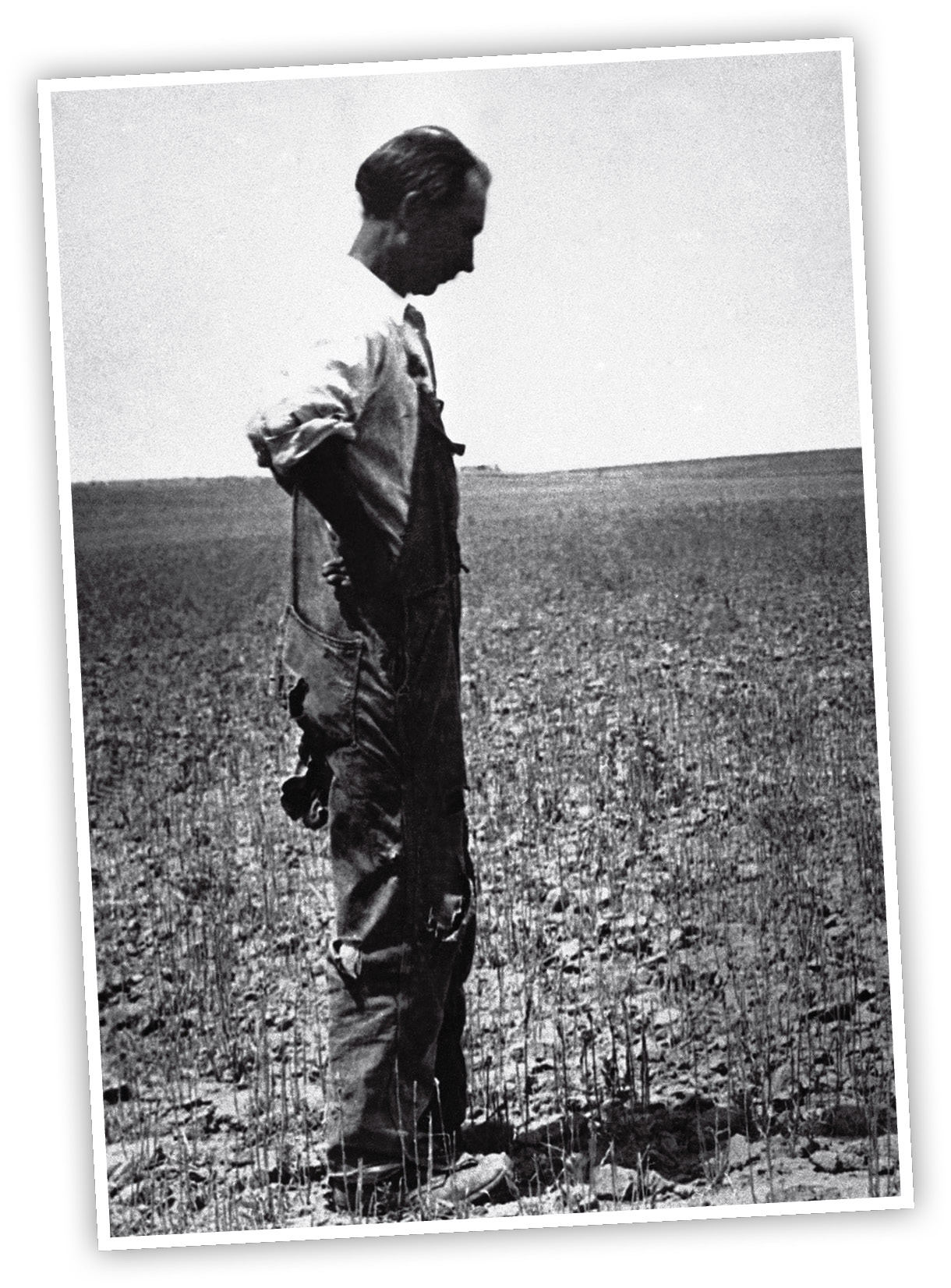 A combination of drought and insects killed crops in the Dust Bowl You had - photo 8