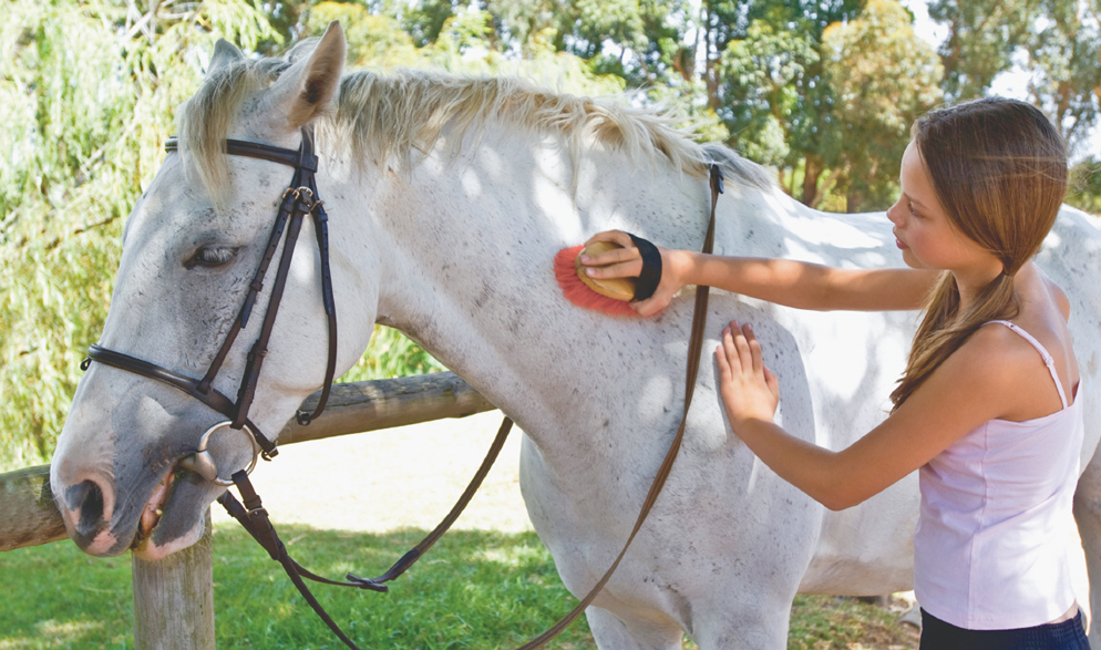 Image Credit JupiterimagesPhotoscom While very beautiful horses can be - photo 4