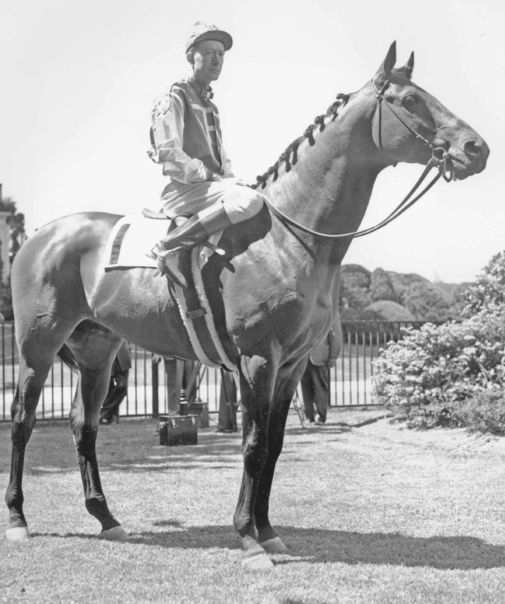 Image Credit AP Images The famous racehorse Seabiscuit has his picture taken - photo 6