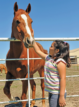 Image Credit iStockphotocomFrancisco Romero Volunteering at a horse rescue - photo 10