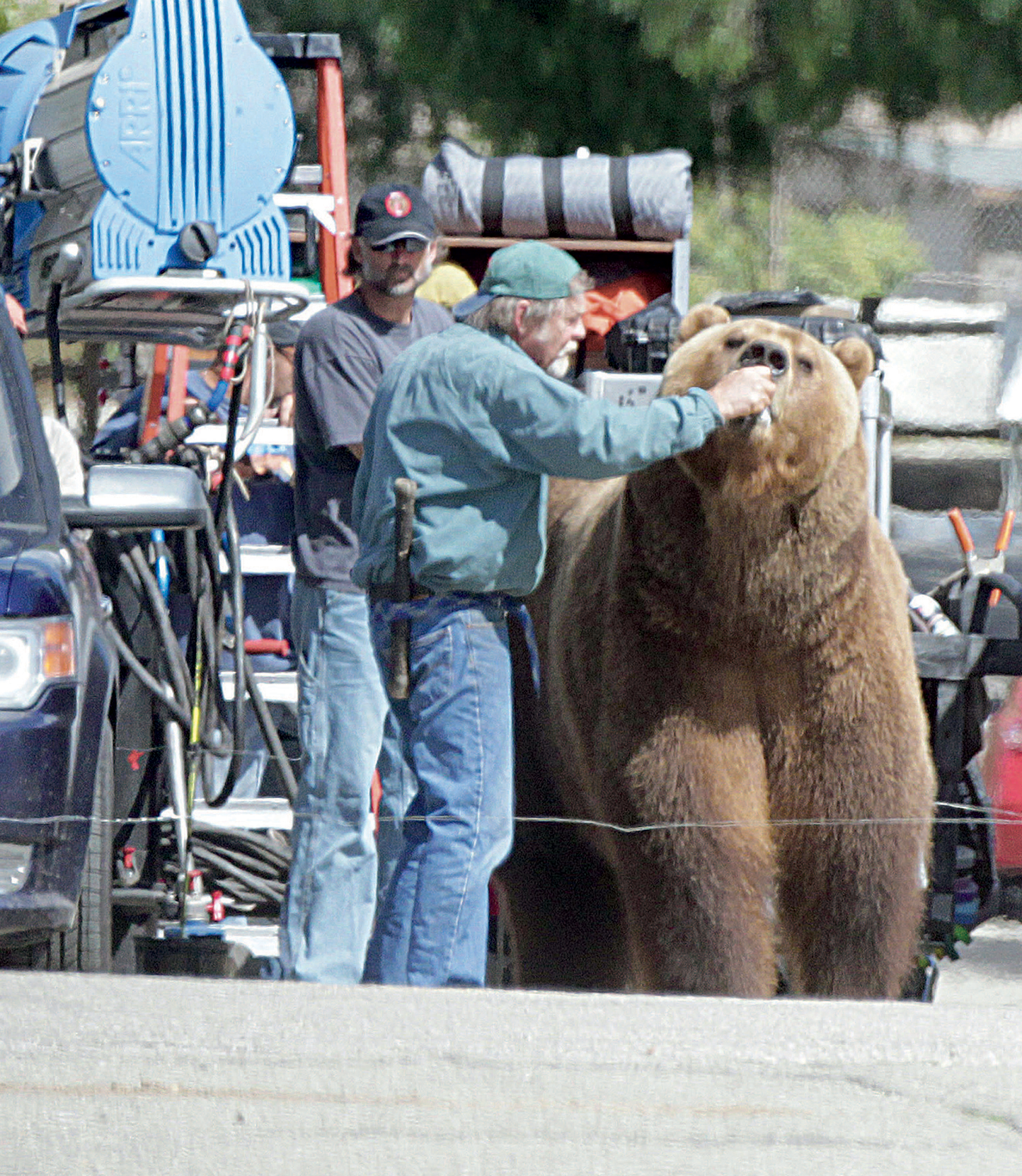 Trainers work with a grizzly bear on the set of the movieWe Bought a Zoo - photo 7