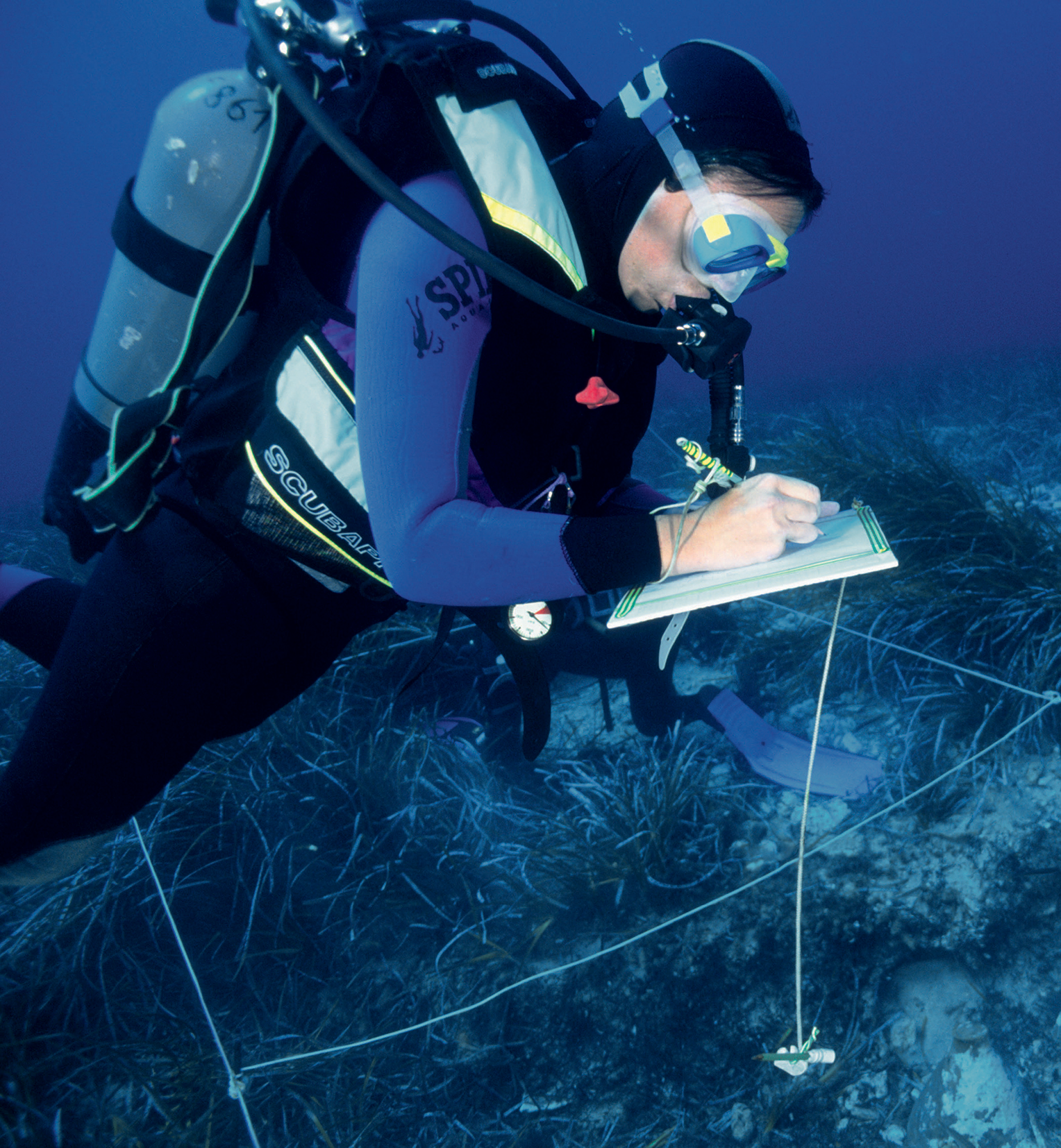 YOUD BETTER BELIEVE IT Cave divers have found the bones of lizards bats - photo 5