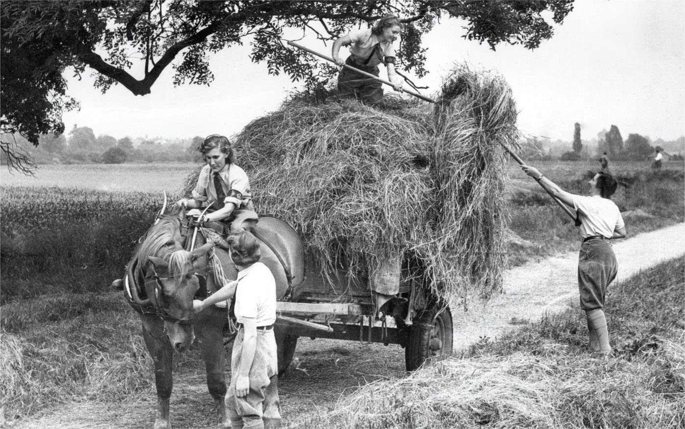 The Womens Land Army A large number of women undertook jobs that involved - photo 5