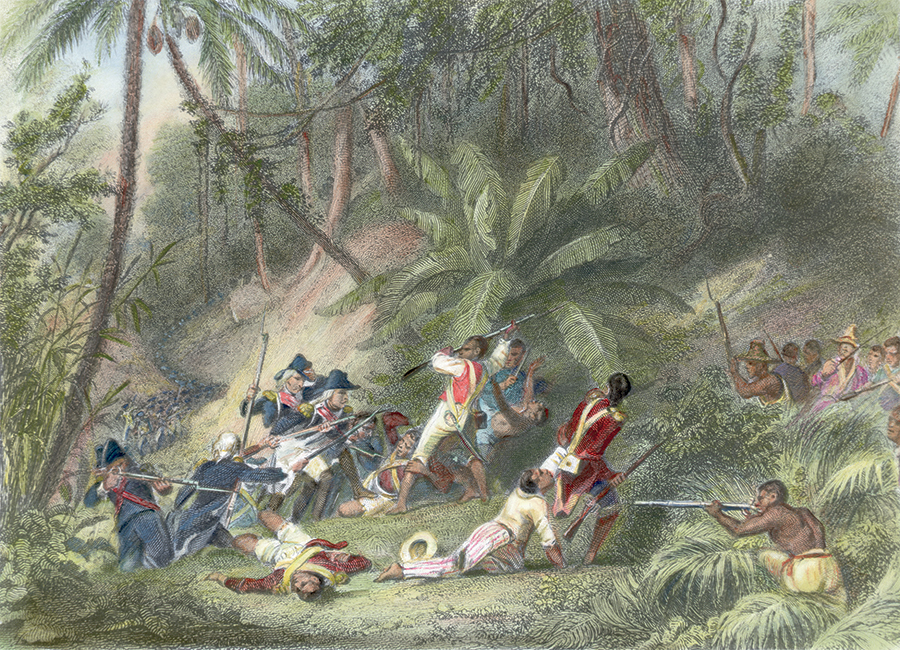 Rebelling slaves in Saint-Domingue defeated the French army Cause 4Napoleons - photo 9