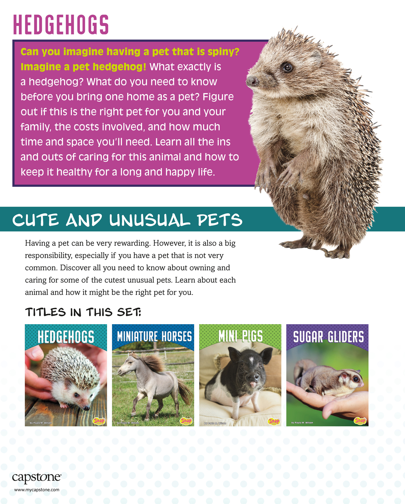 CHAPTER 1 MEET THE HEDGEHOG If you are looking for a pet that is friendly - photo 3