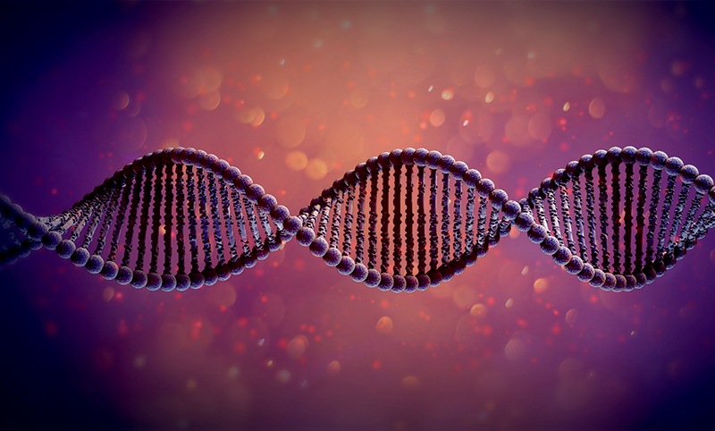 DNA has a double helix structure BASES The chemicals that make up DNA are - photo 9