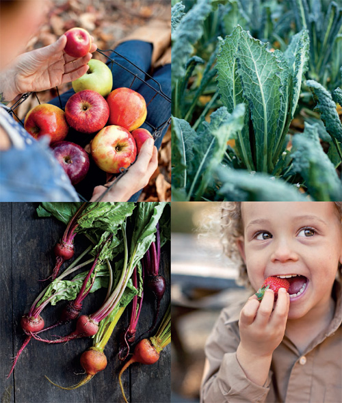 all about JUICING Drinking fresh fruit and vegetable juices is a simple - photo 5