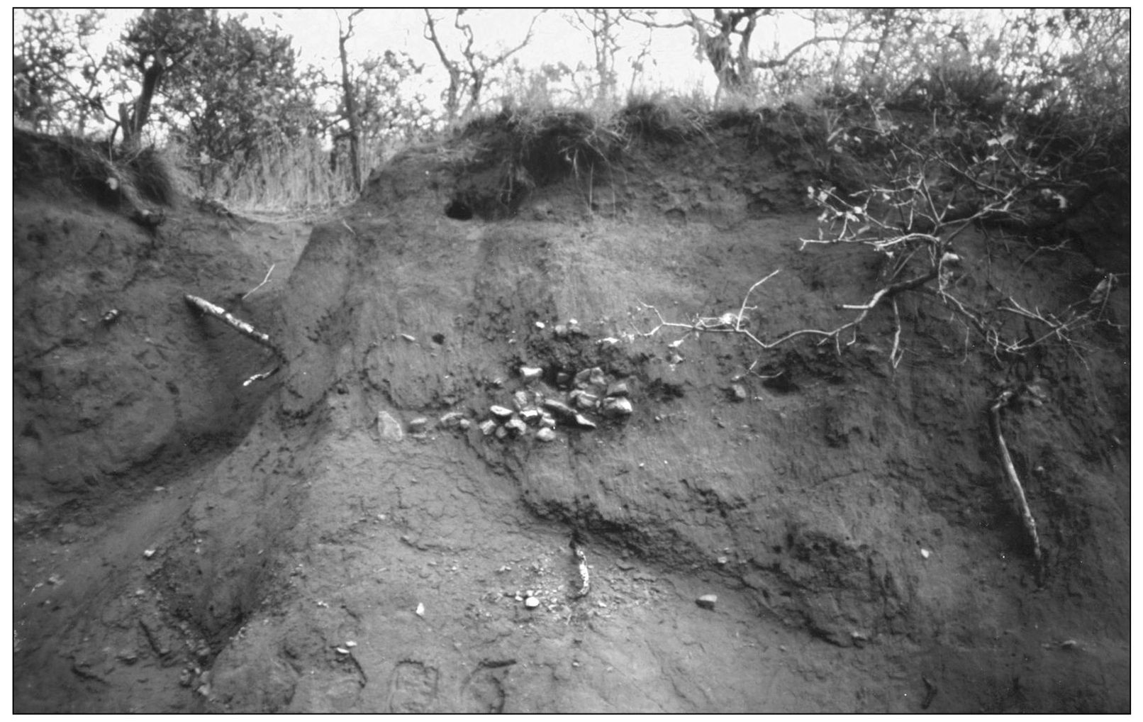 Rain dust and erosion buried this prehistoric hearth for more than 8000 - photo 5