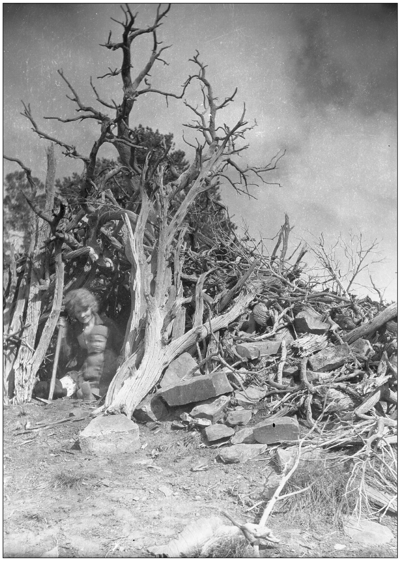 This photograph snapped in the 1920s near Eagle shows a wickiup likely built - photo 3