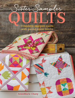 AnneMarie Chany - Sister Sampler Quilts: 3 Modern Sampler Quilts with Paired Sister Blocks