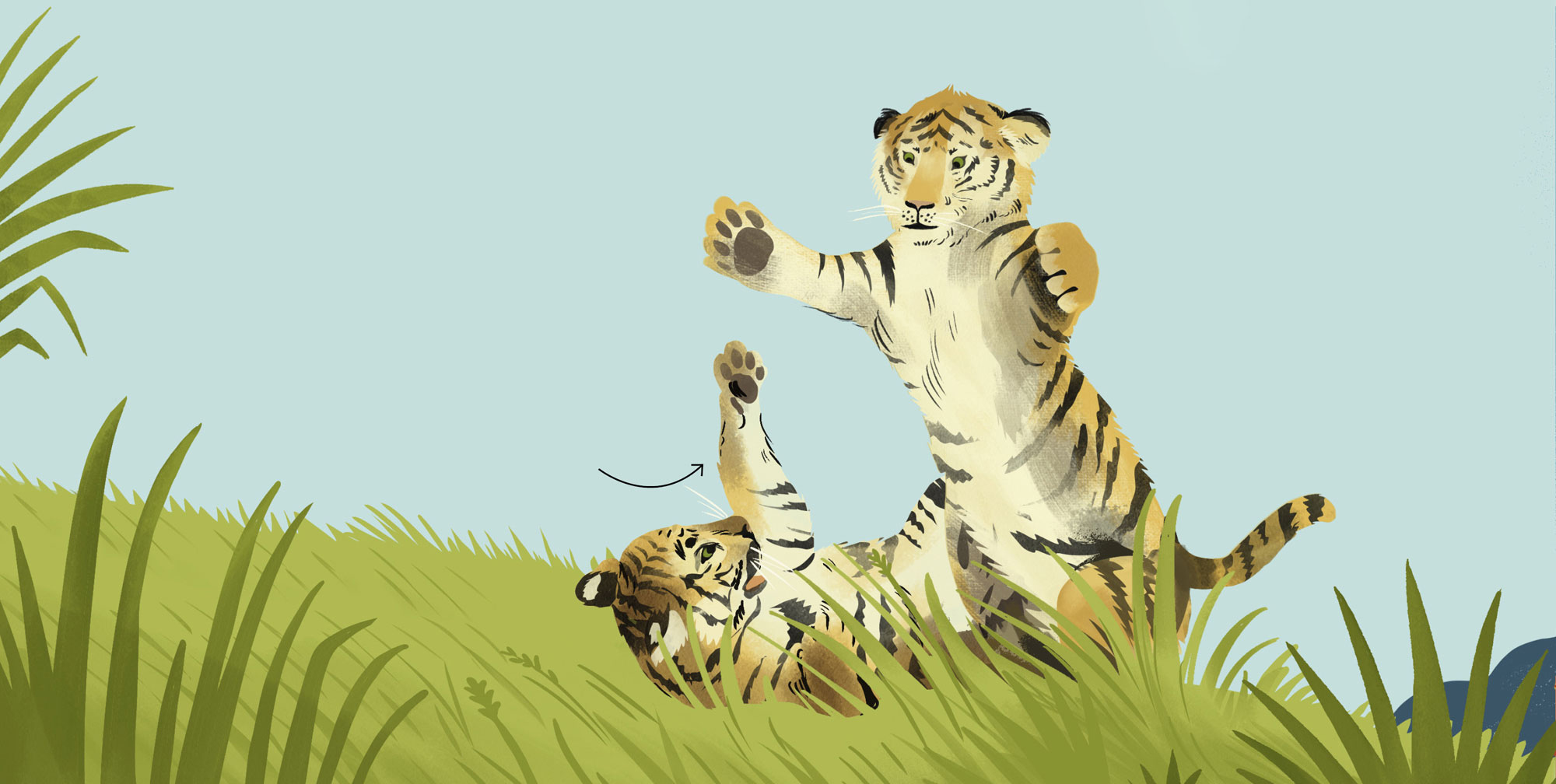 Tiger cubs can play-fight all day DOWN THE SLIDE The natural world is full - photo 11