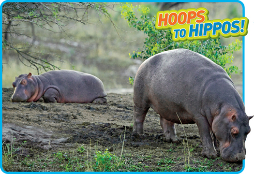 Thats me Boris Diaw Two of my favorite things are playing hoops and taking - photo 5