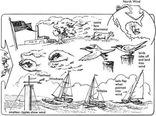 By convention winds are named for the quarter from which they blow A wind - photo 2