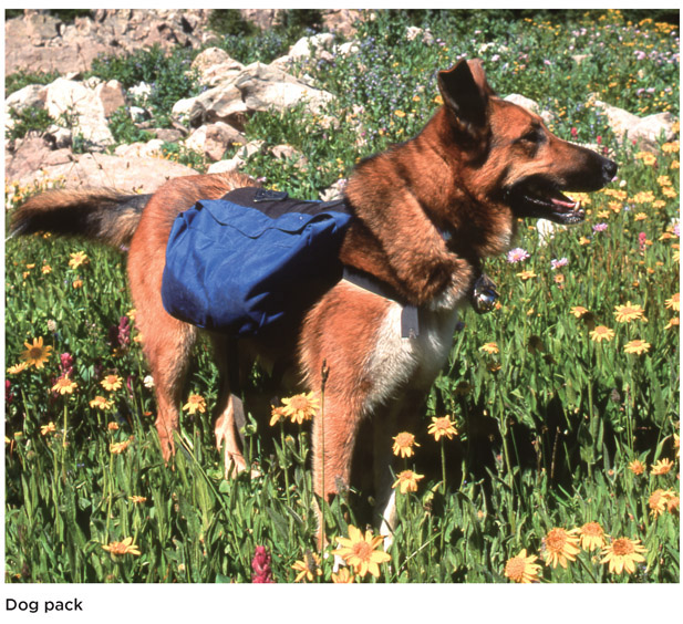 Choosing packs Packs are sold in pet supply stores outdoor recreation stores - photo 1