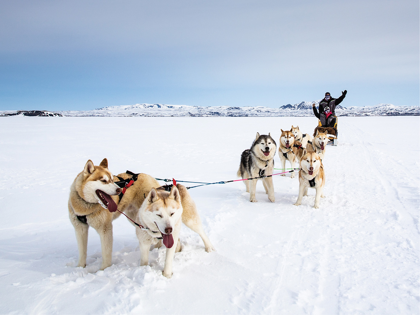 Dogsledding on frozen Mvatn Lake in early spring West Iceland Family of - photo 23