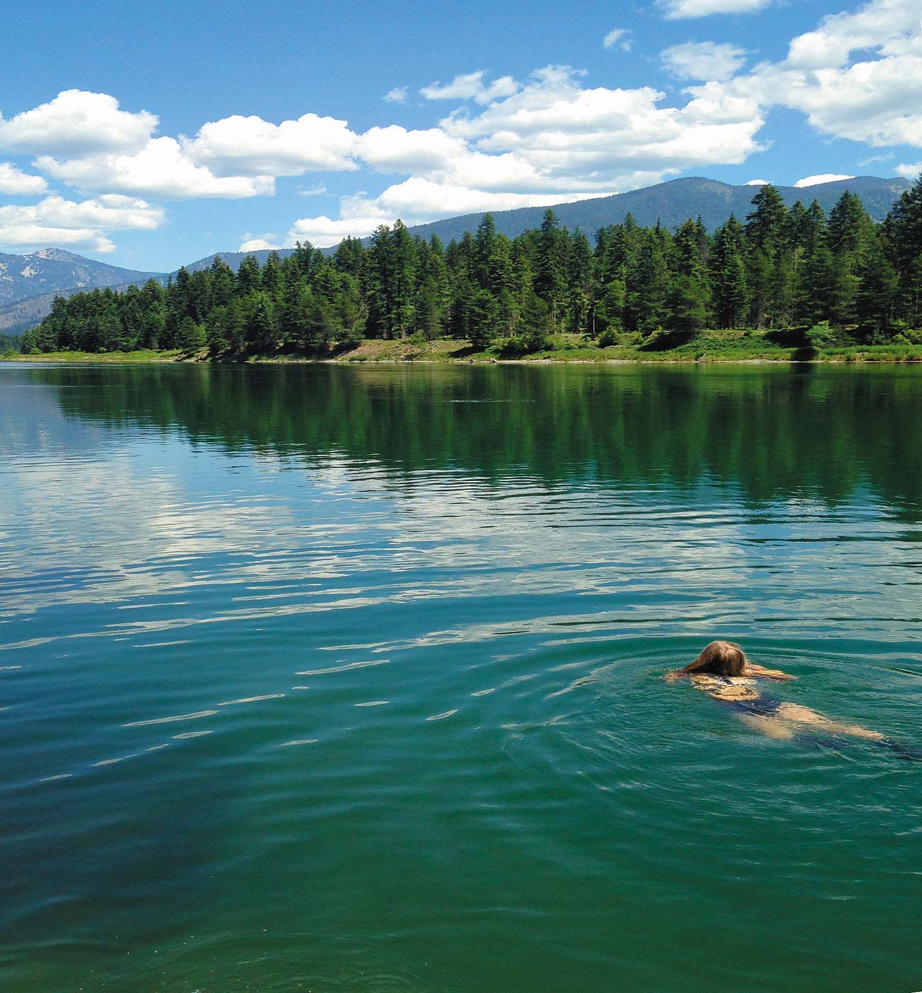 swimming in the Clark Fork An old car becomes part of the landscape outside - photo 9