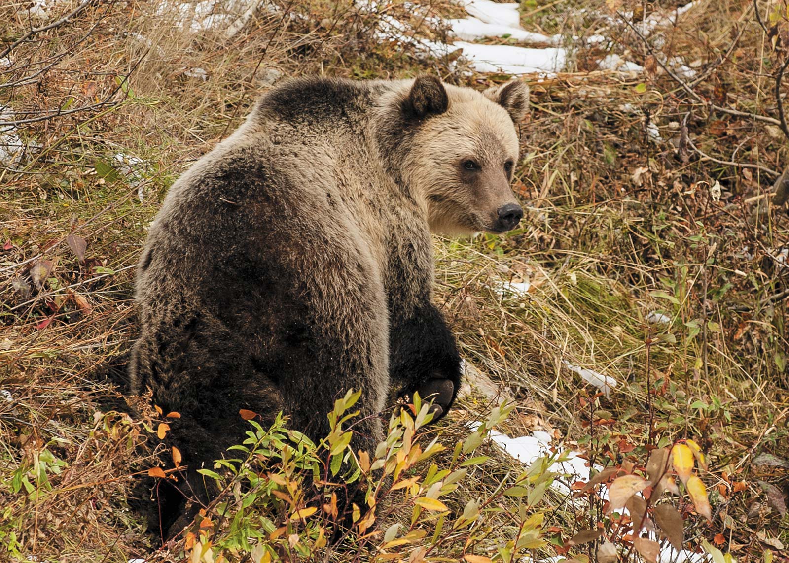 Take advantage of multiple wildlife refuges to see wildlife in their prime - photo 19