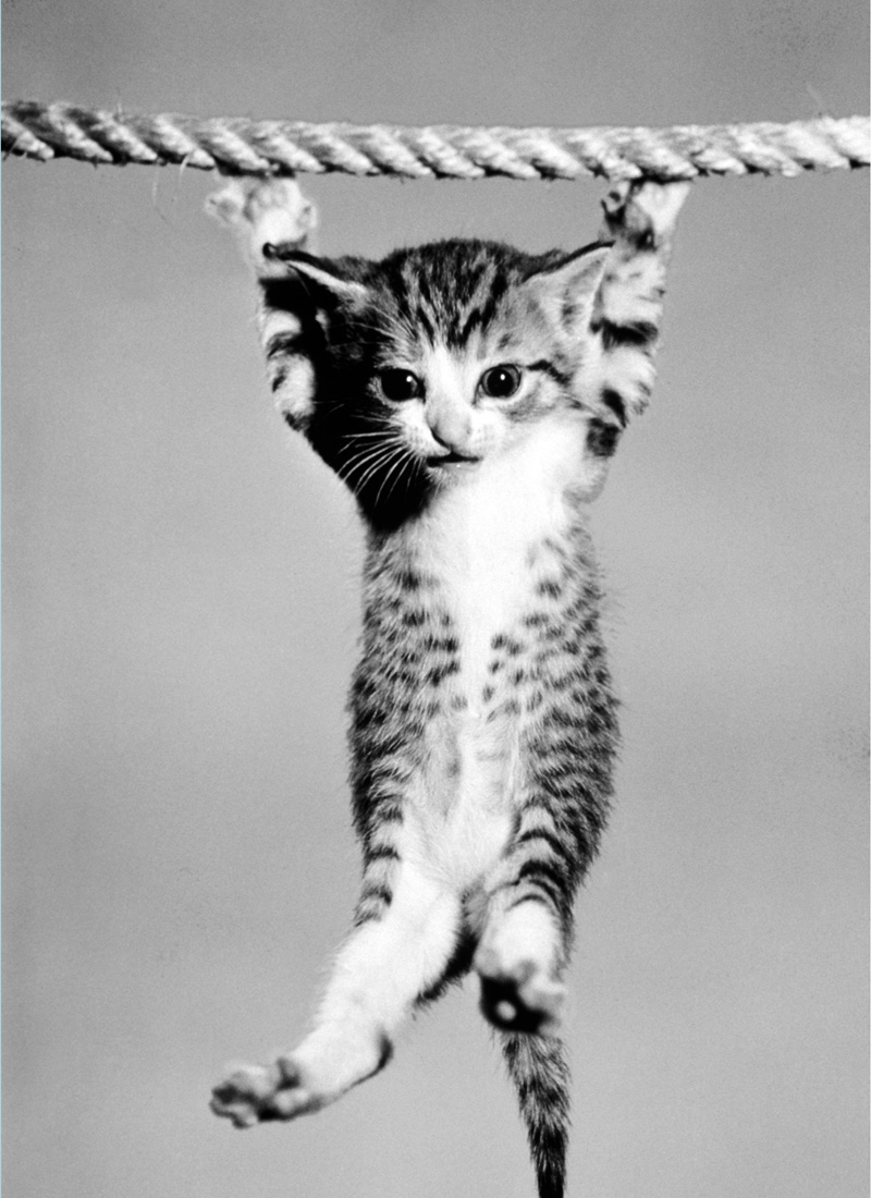 Hang in There Inspirational Art of the 1970s - photo 30