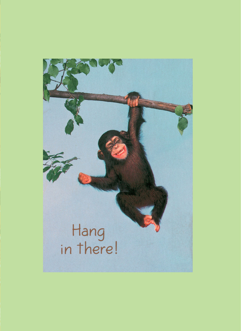 Hang in There Inspirational Art of the 1970s - photo 11