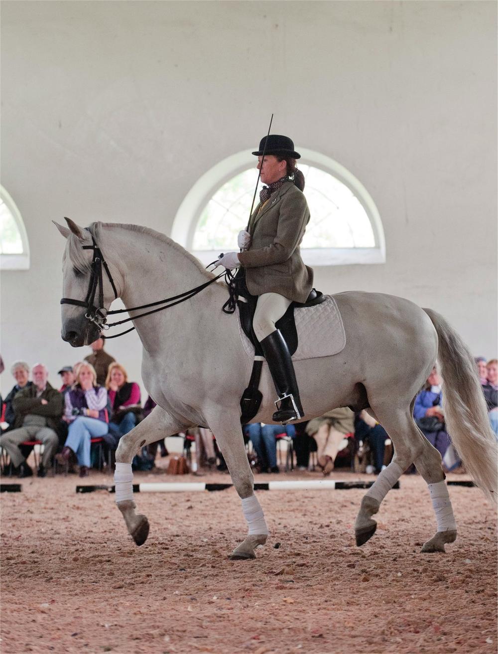 The Balanced Horse is dedicated to all my friends in Portugal and in particular - photo 1