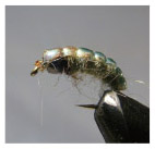 Even when there is no caddis activity present caddis larvae can be in the - photo 10