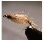 La Fontaines Sparkle Caddis Emerger should be fished in a fashion similar to - photo 13