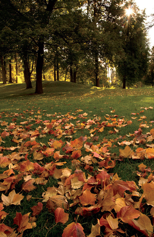 Manito Park is a spectacular site for photography in early autumn and summer - photo 2