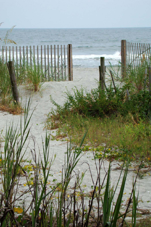 The Way This Book Works TO MAKE YOUR VISIT to the Carolina Lowcountry - photo 5