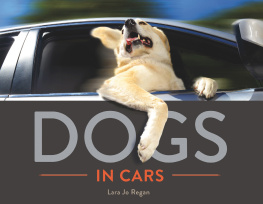 Lara Jo Regan - Dogs in Cars