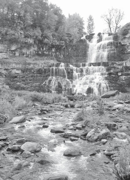 Chittenango Falls This book is dedicated to the three million workers of the - photo 2