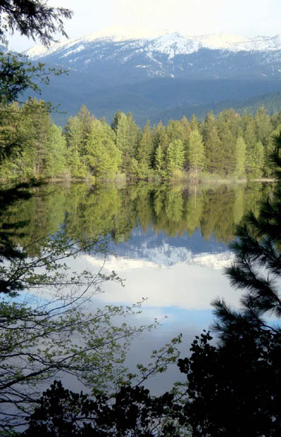 The Shasta Cascade in spring INTRODUCTION Every summer as a child my - photo 6