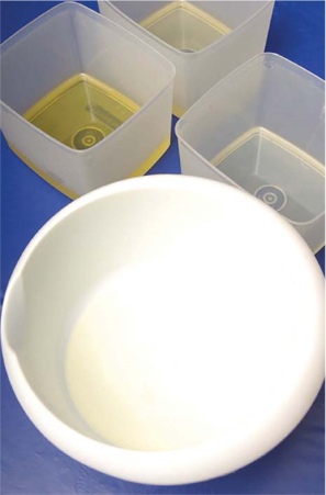 PLASTIC OR GLASS BOWLS Use a 1-quart heavy-weight plastic mixing bowl or a - photo 4