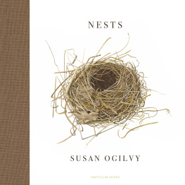 Susan Ogilvy - Nests