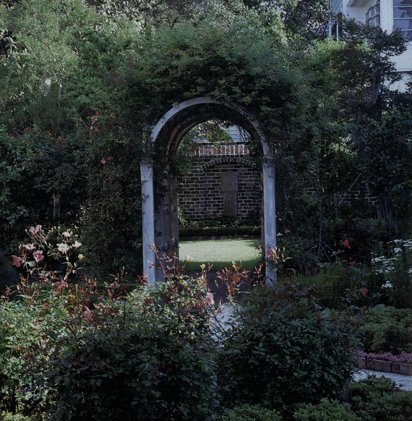 Yellow Lady Banks roses mingle with Rosa chinensis Mutabilis on the archway of - photo 2