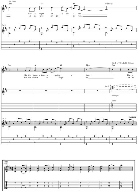Acoustic Guitar Tab White Pages Songbook - photo 30