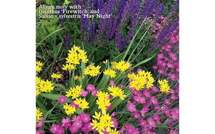 Nans Top 10 Favorite Perennial Pairings When I first started making plant - photo 6