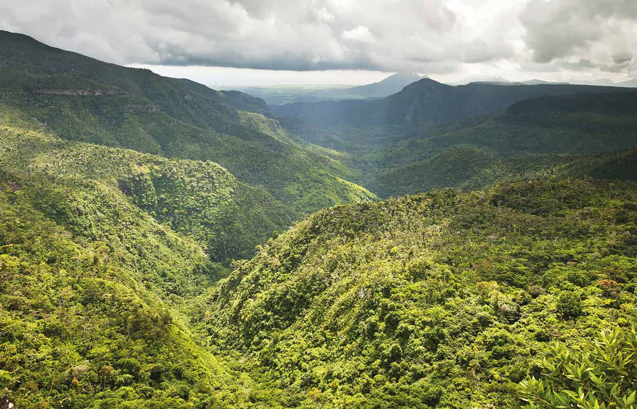 Top Attraction 4 Shutterstock Black River Gorges National Park Dramatic - photo 7