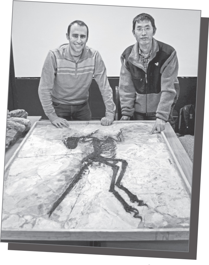 Junchang L and Steve Brusatte studying the fossil of Zhenyuanlong But this was - photo 5